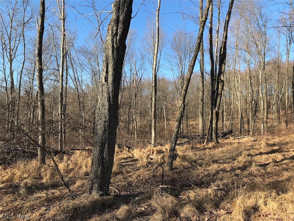 United States Military Lands - Land