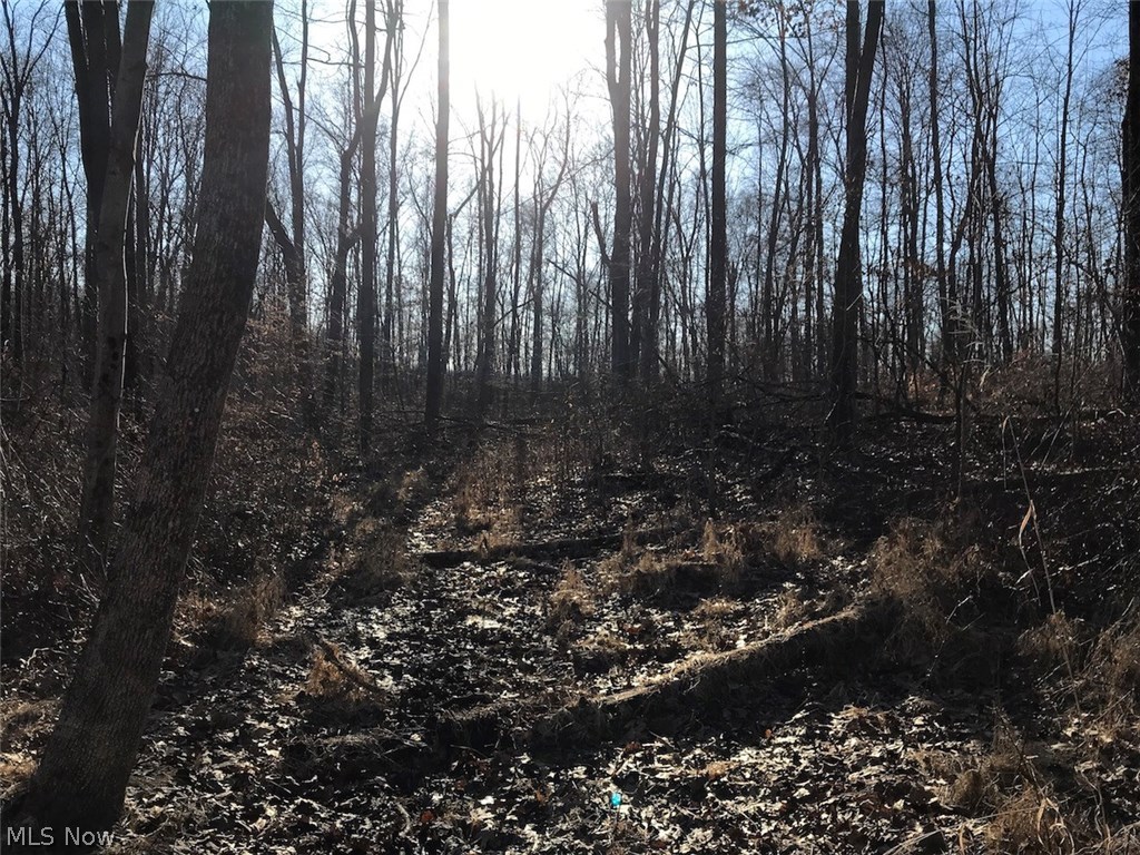 United States Military Lands - Land