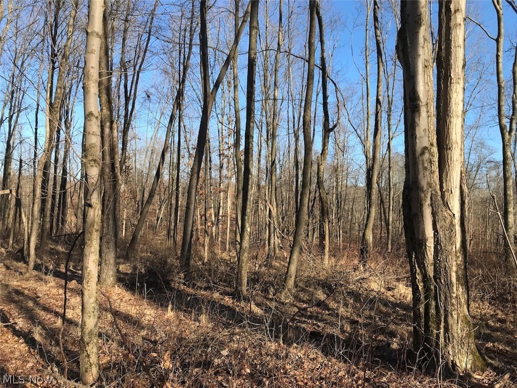 United States Military Lands - Land