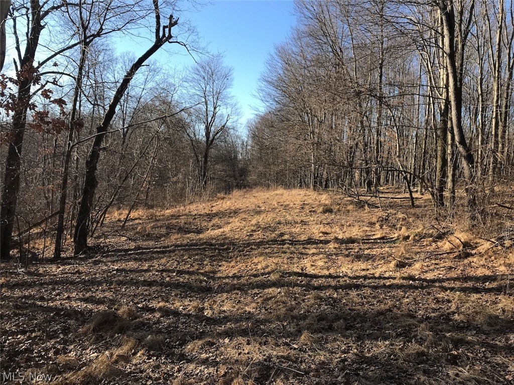 United States Military Lands - Land