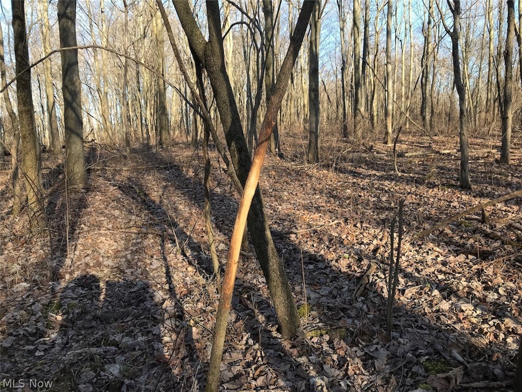 United States Military Lands - Land