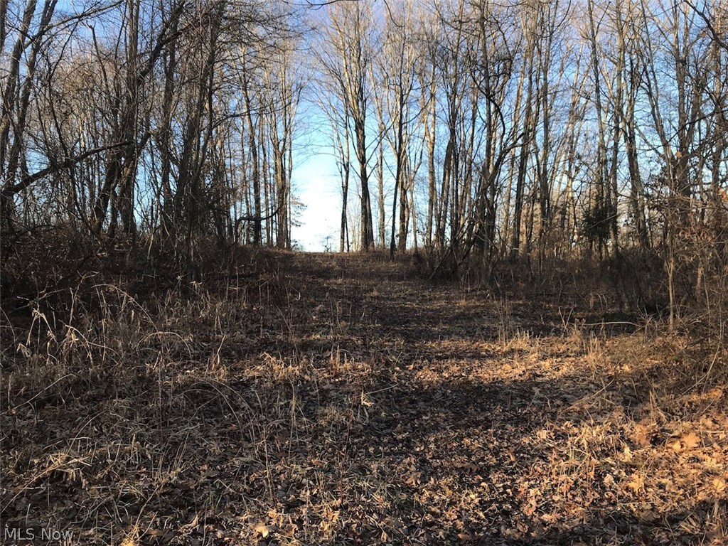 United States Military Lands - Land