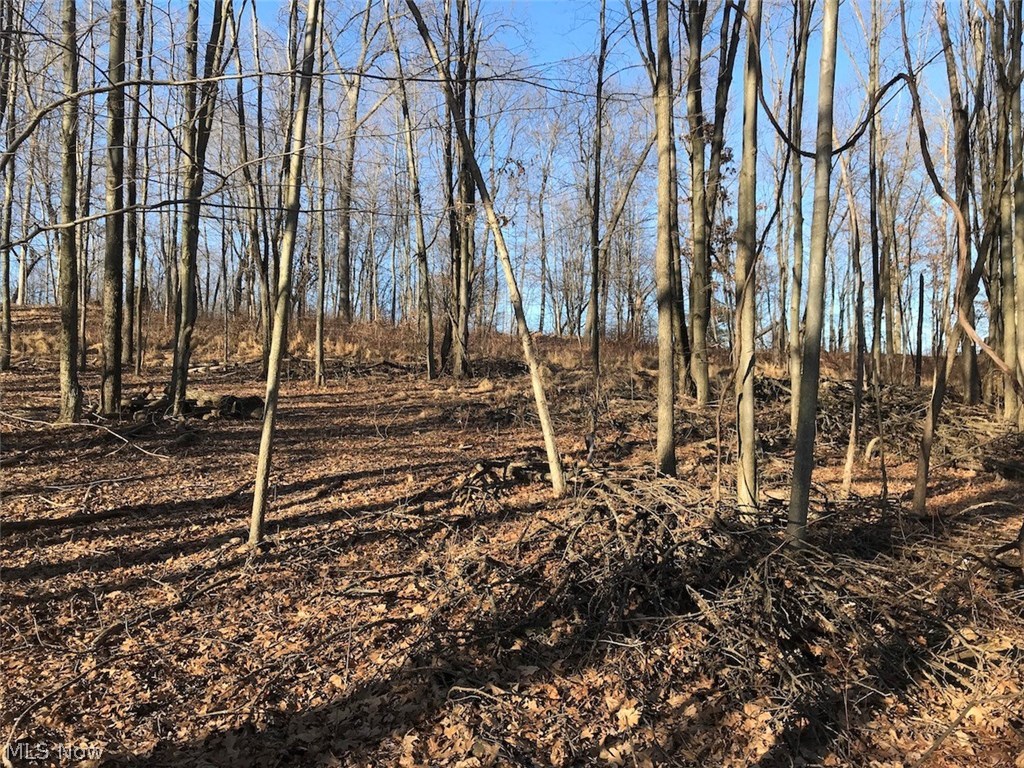 United States Military Lands - Land