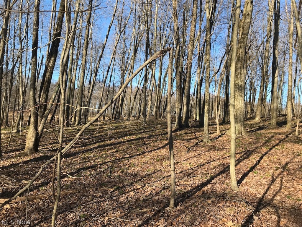 United States Military Lands - Land