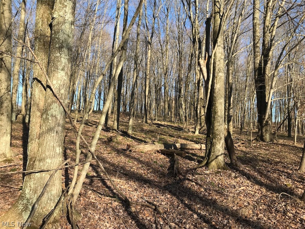 United States Military Lands - Land