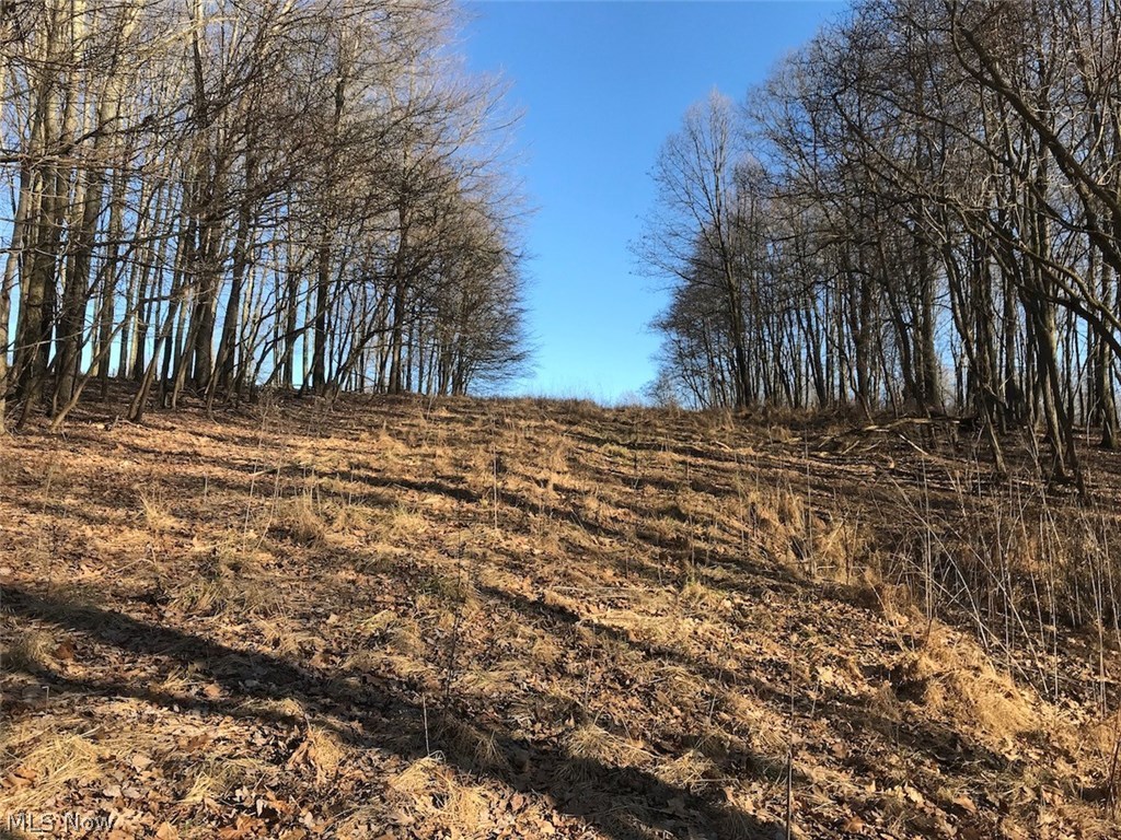 United States Military Lands - Land