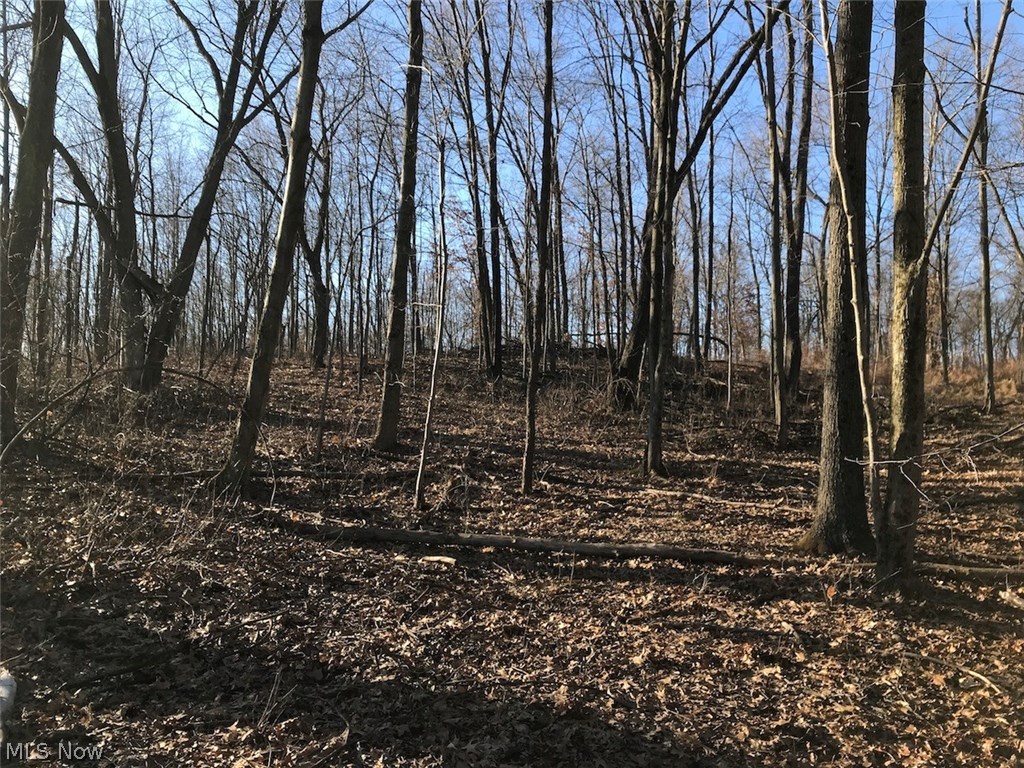 United States Military Lands - Land