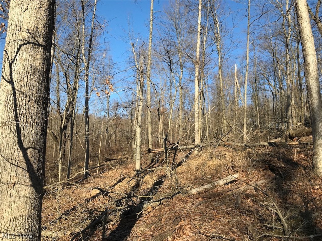 United States Military Lands - Land