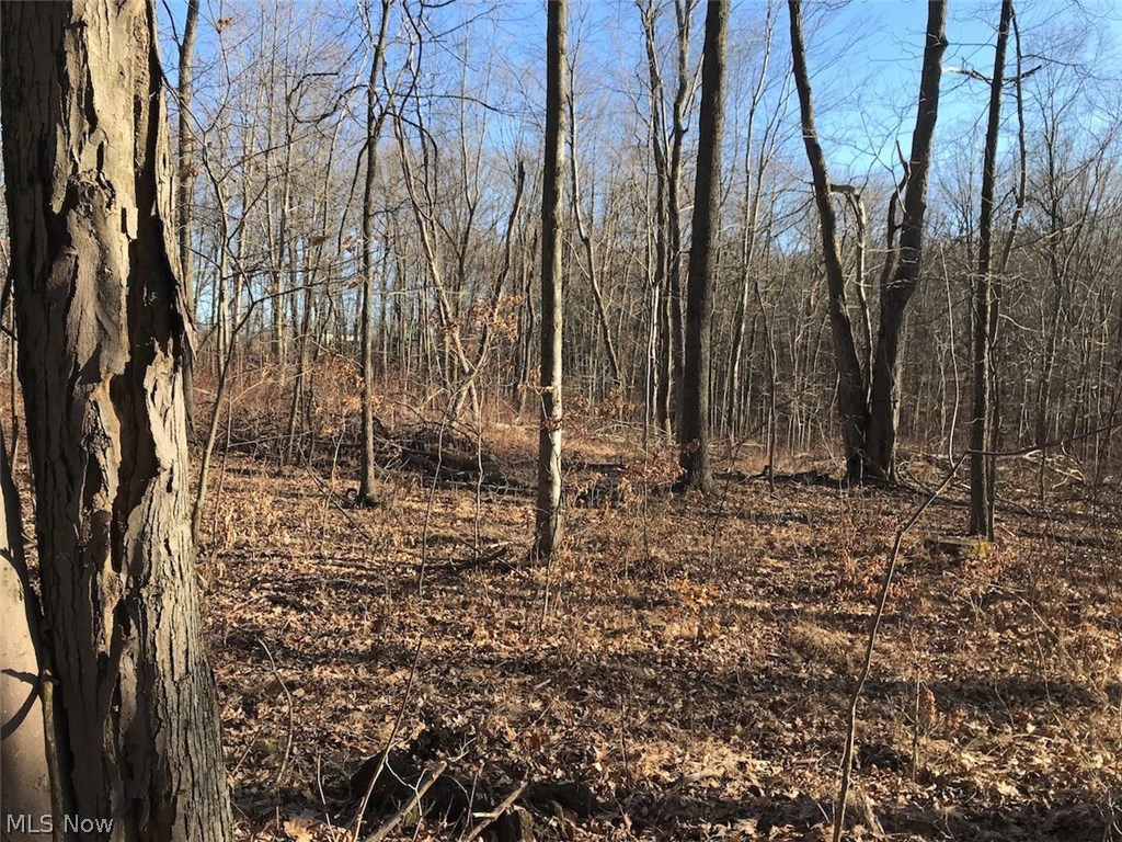 United States Military Lands - Land