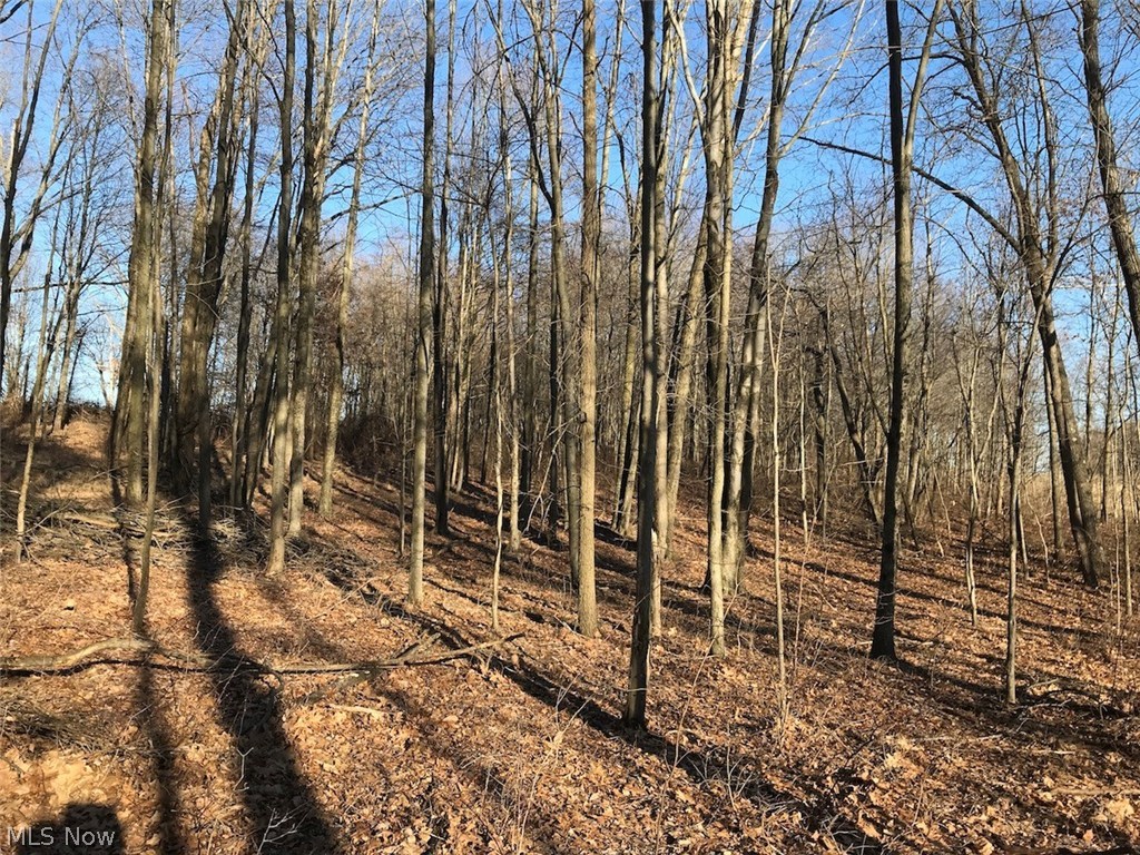 United States Military Lands - Land