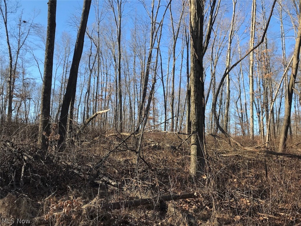 United States Military Lands - Land