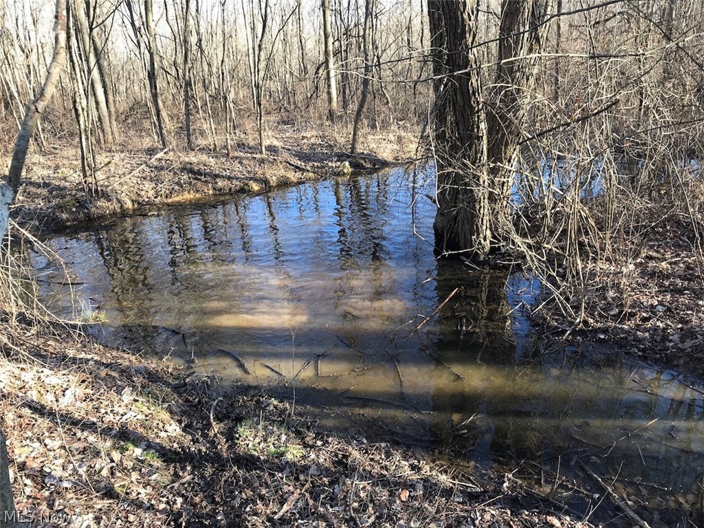 United States Military Lands - Land