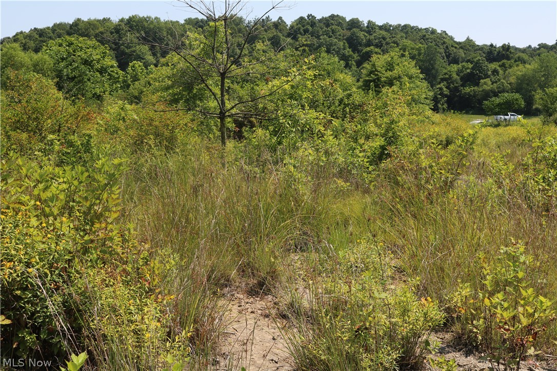 United States Military Distric - Land