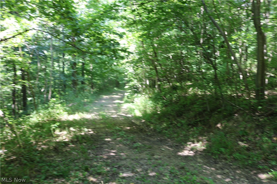 United States Military Distric - Land