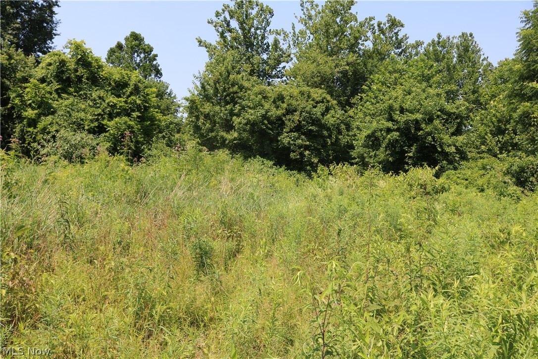 United States Military Distric - Land