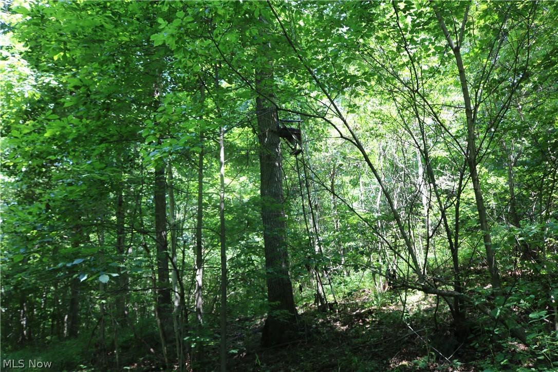 United States Military Distric - Land