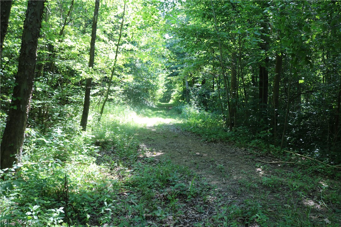 United States Military Distric - Land