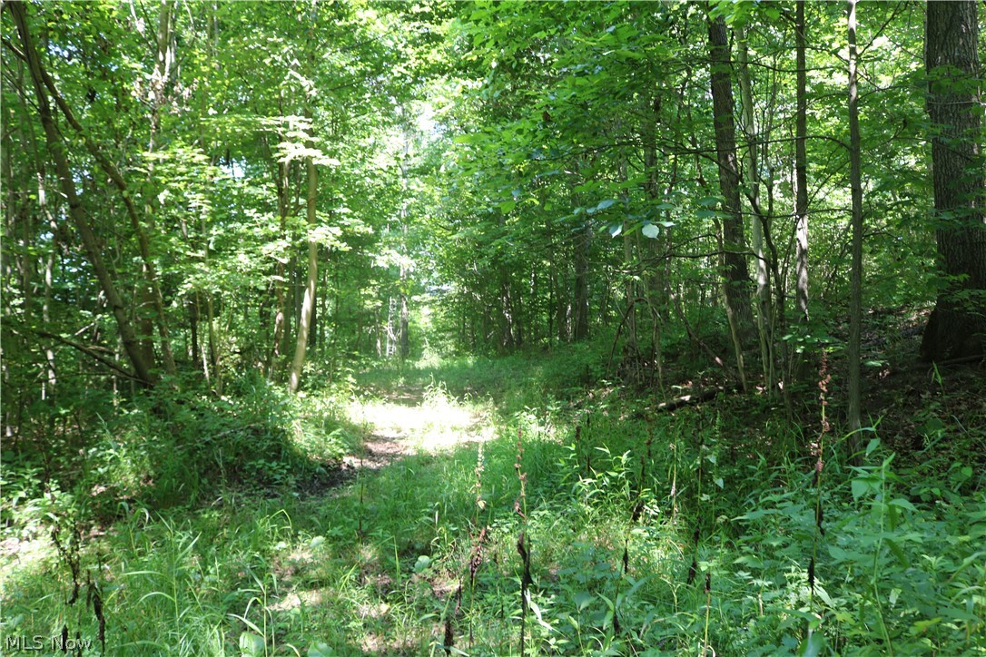 United States Military Distric - Land