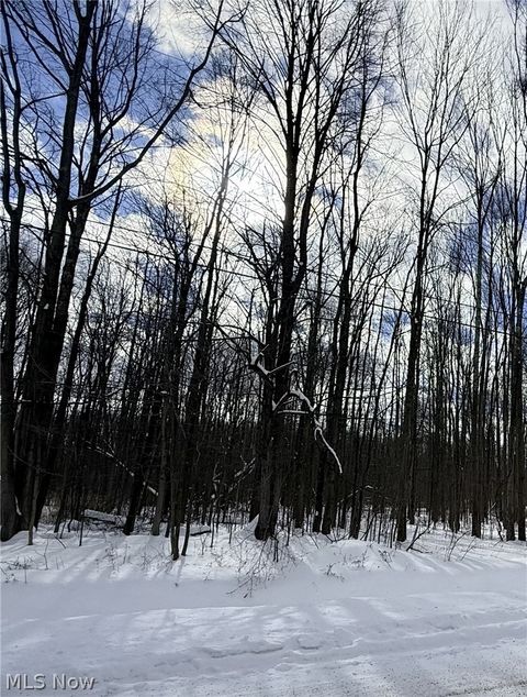 Vacant Land For Sale - Tompkins Road<br/> Ashtabula County, Jefferson, OH 44047