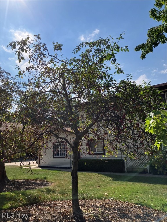 Come and see this lovely ranch condo, located near the Euclid Creek Reservation. There is a private entryway to the building that houses four ranch style condos. The condo is located on the first floor and has an attached garage with one assigned parking space. The open dining room that leads to the open living room that has a round wood burning fireplace. The living room also has sliding doors that let in plenty of sunlight, which leads to the outdoor patio area with views of flowering trees and green space. There are two nice sized bedrooms with ample closet space, two full baths both with tub/shower combinations. The eat in kitchen has plenty of storage, including a large pantry, and the laundry room is located off the kitchen. Bring your home creativity and make this condo yours.