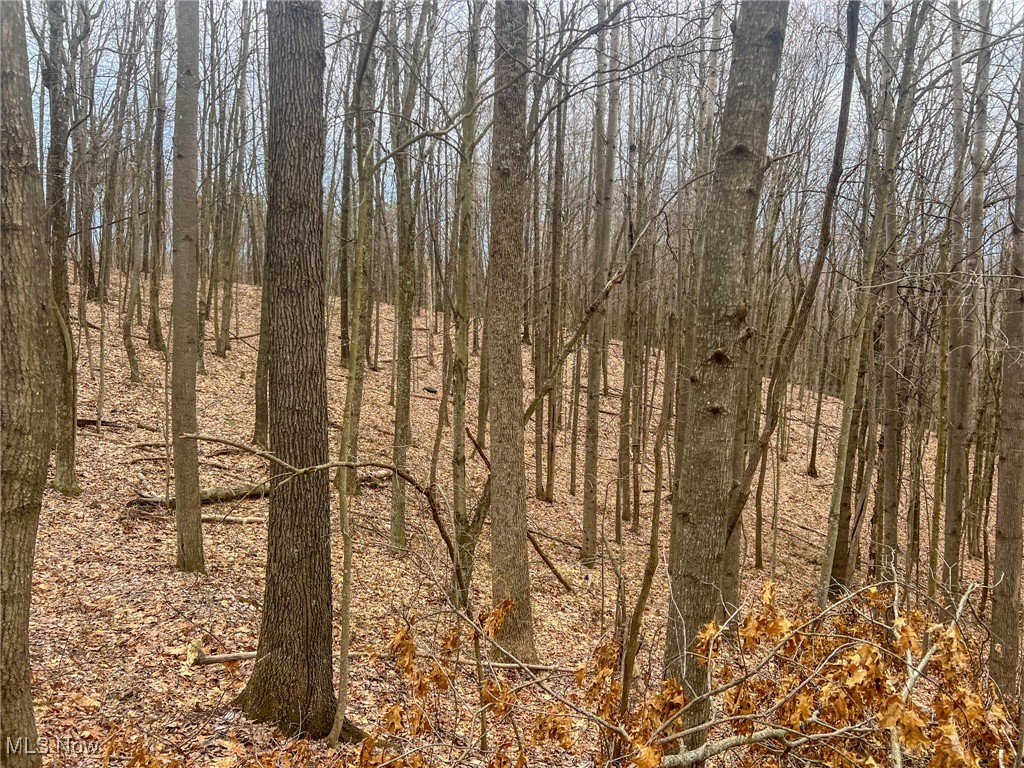Ponetown Rd, Ray, Ohio image 14
