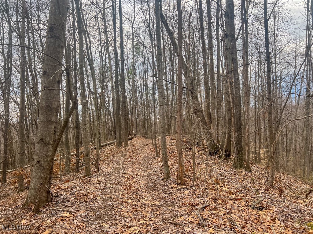Ponetown Rd, Ray, Ohio image 7