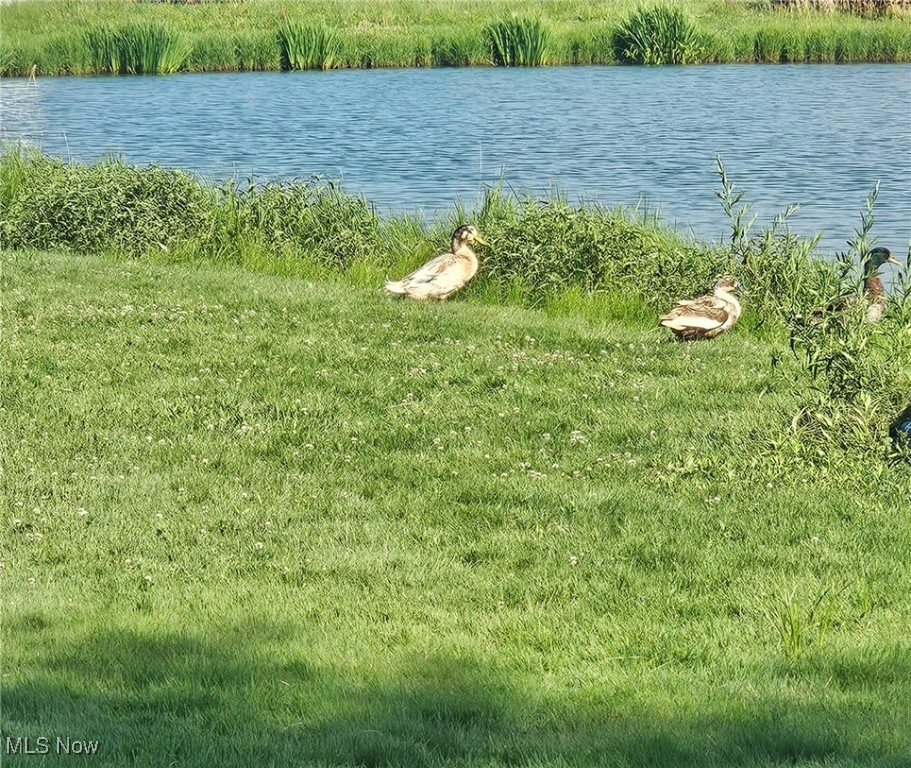 Oral Bates 01 Sec 03 - Residential