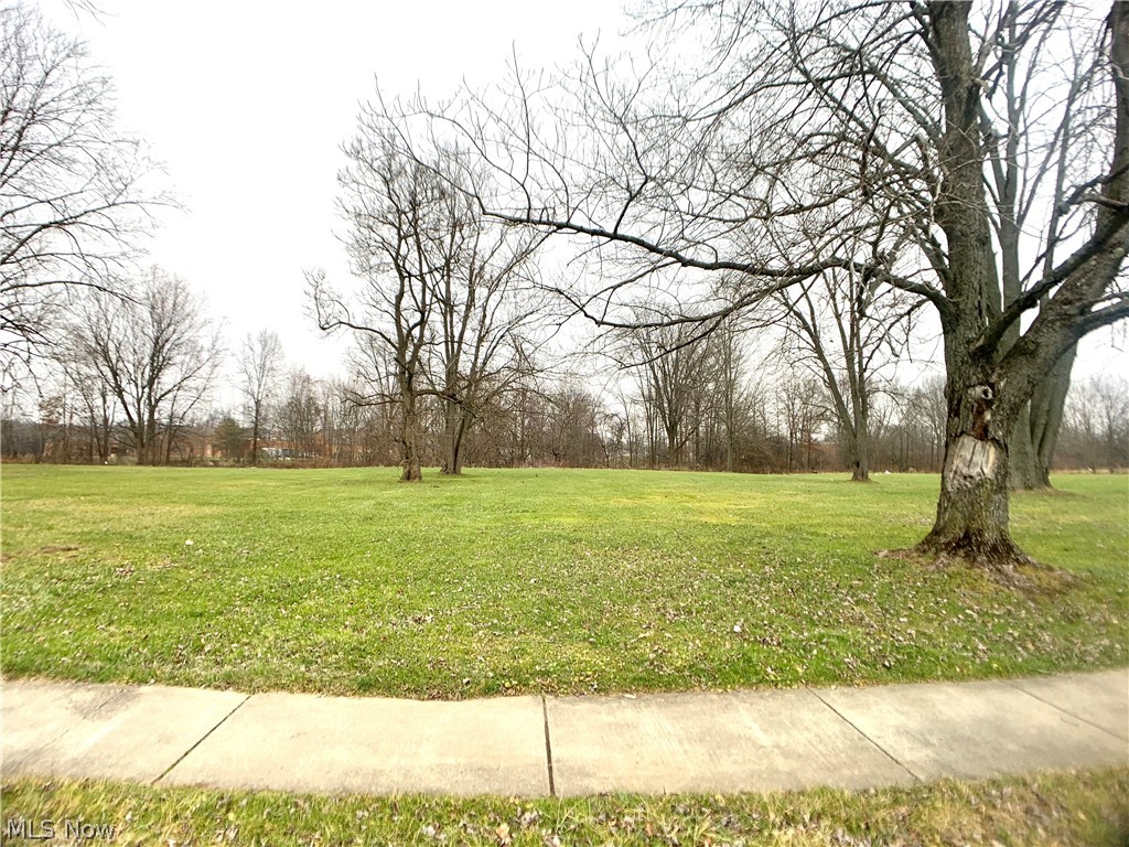 Maple Grove Park - Land