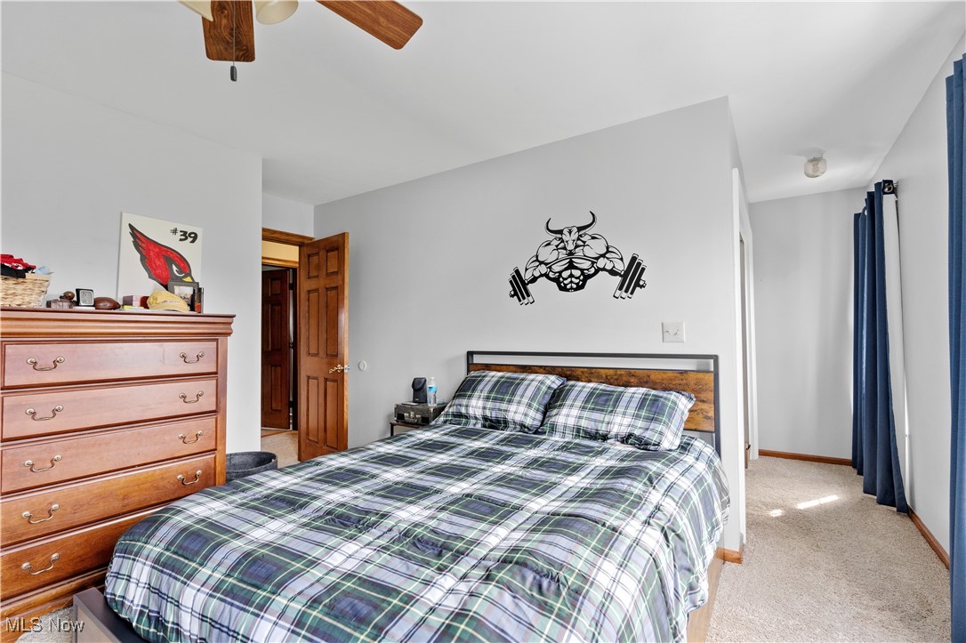 7285 S Raccoon Road, Canfield, Ohio image 28