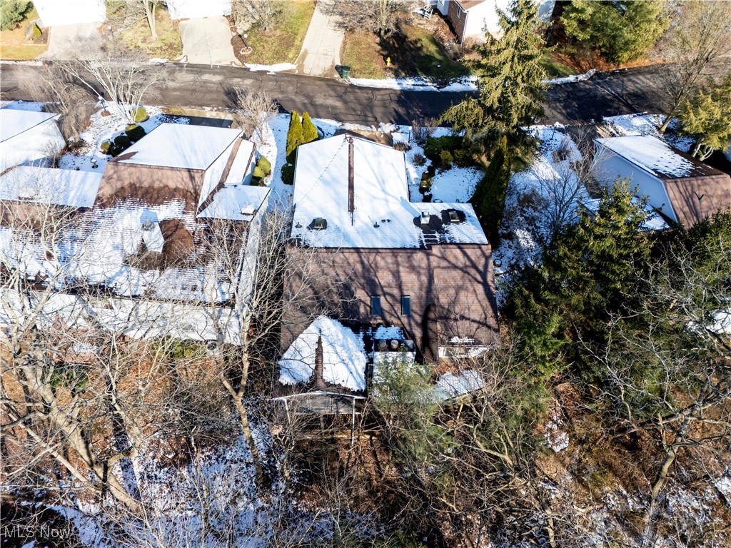 Forest Cr Estate - Residential