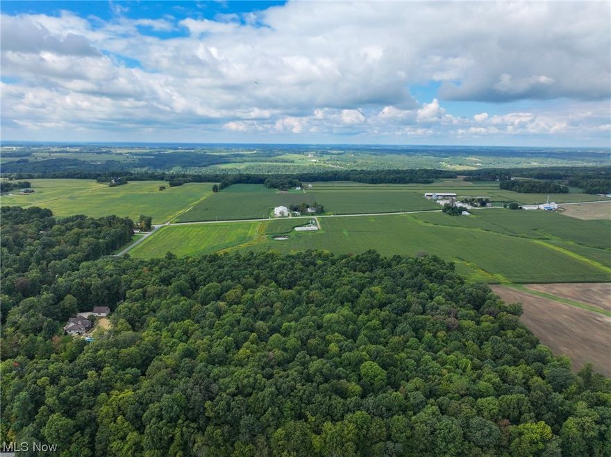 Selling at auction Fri., Oct. 27 at 12 Noon. THIS IS AN AUCTION. LISTED AMOUNT DOES NOT REPRESENT A LISTING PRICE. Selling a beautiful 205-acre farm with loads of potential: agricultural, commercial, residential, etc. Buy land, it’s a great hedge against inflation! Parcel 11 is 20 wooded acres. An outstanding variety of land that will fit the bill for you!