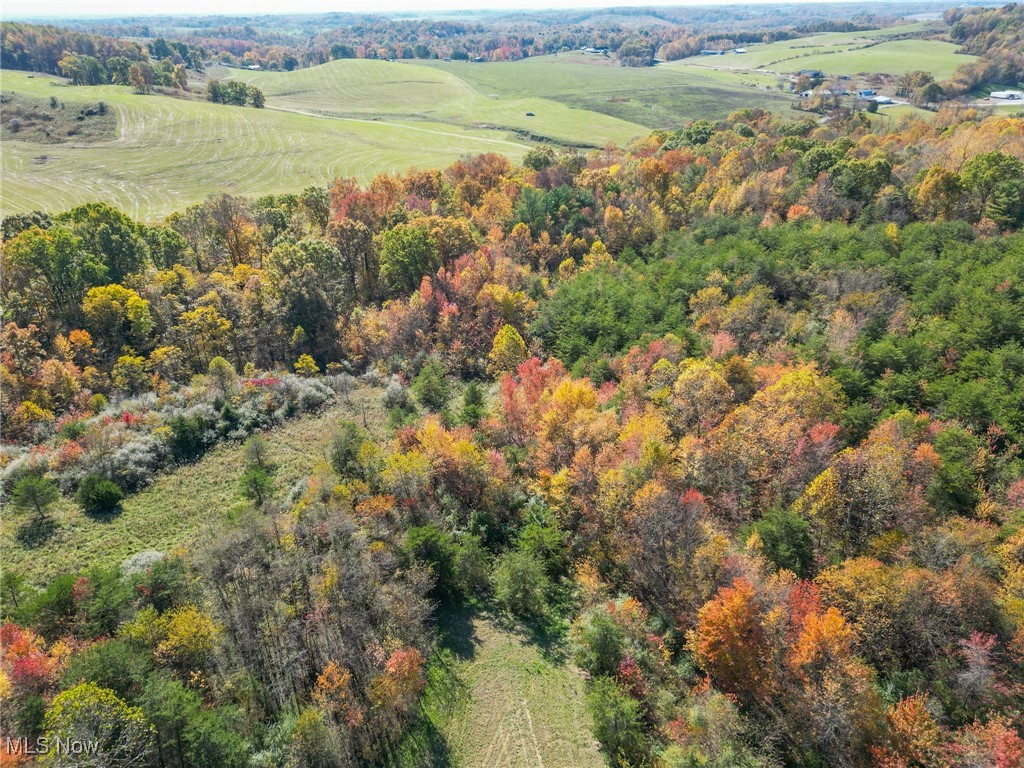 Dixon Run Road, Jackson, Ohio image 10