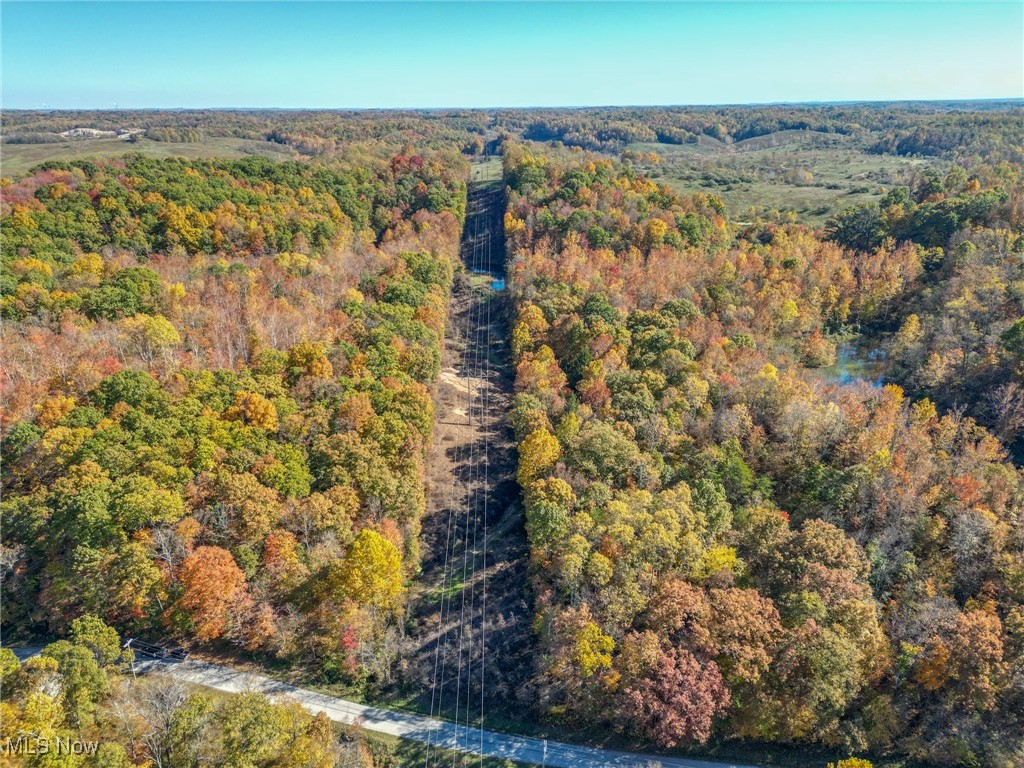 Dixon Run Road, Jackson, Ohio image 8