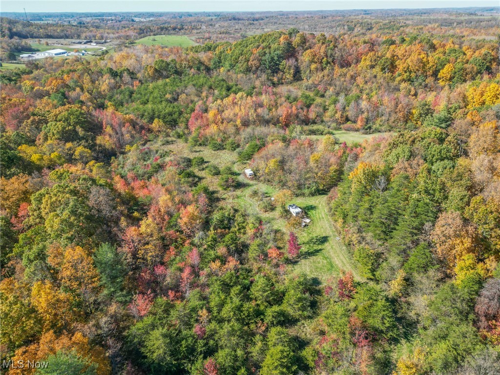 Dixon Run Road, Jackson, Ohio image 11