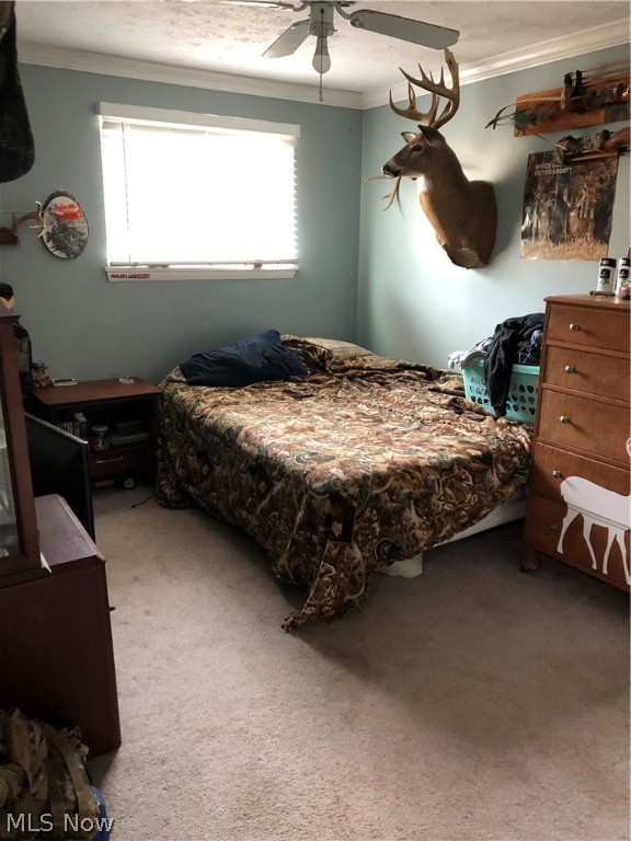 Ridgeville Heights - Residential