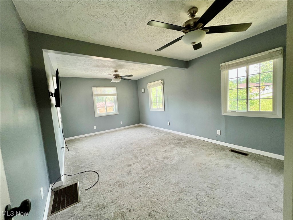 725 Logan Avenue, Mingo Junction, Ohio image 12