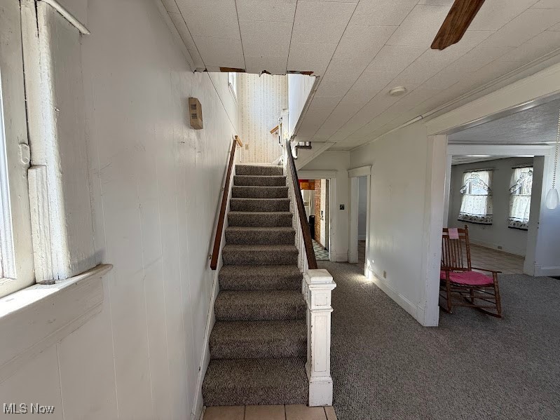 215 N 8th Street, Martins Ferry, Ohio image 9