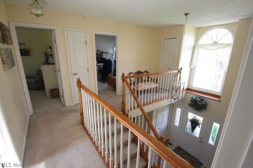 Bellflower Meadows - Residential