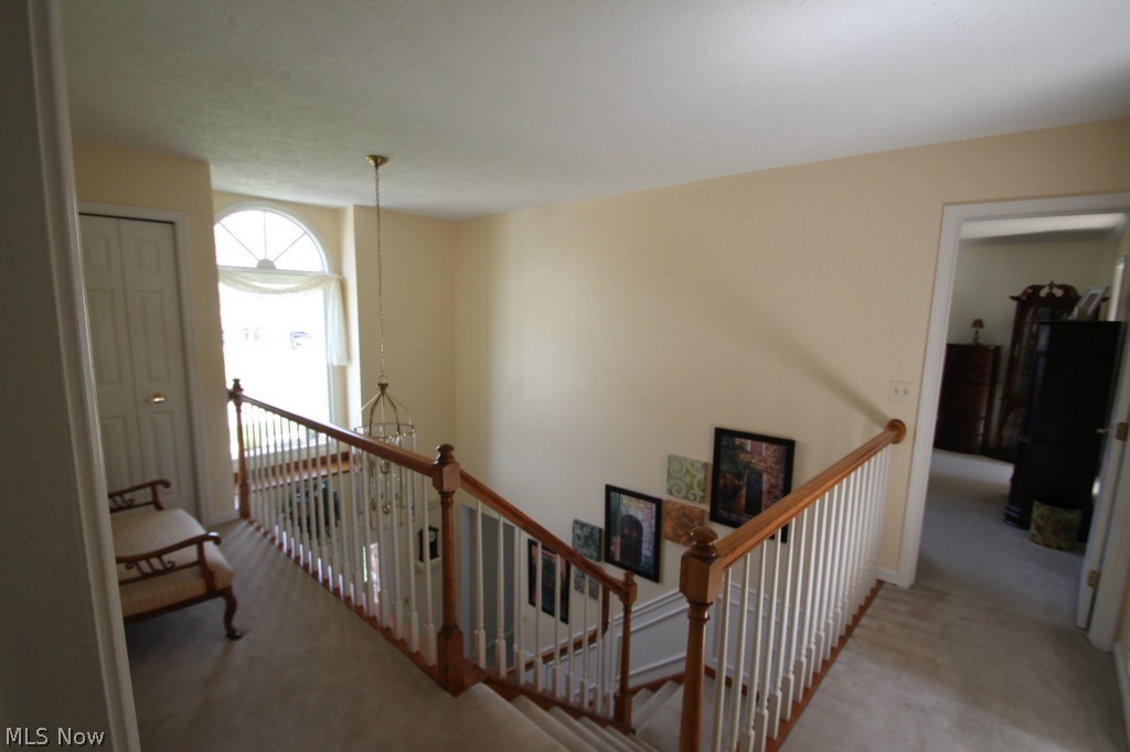 Bellflower Meadows - Residential