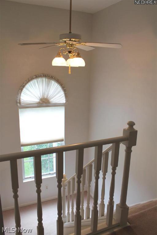 Burlington Oval - Residential