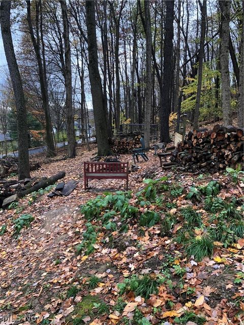 Vacant Land For Sale - 6189 Lakeview Drive<br/> Columbiana County, Hanoverton, OH 44423