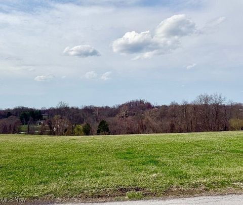 Vacant Land For Sale - Ellen Drive<br/> Wellsburg, WV 26070