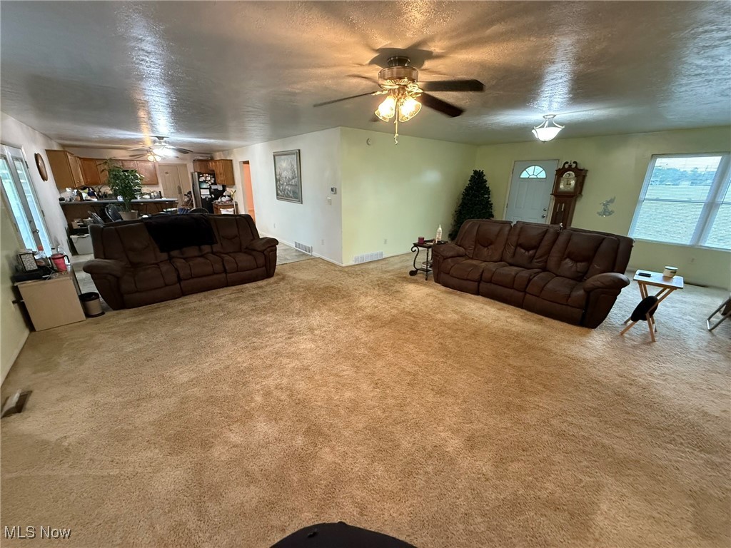 6920 Riverside Road, Gnadenhutten, Ohio image 4