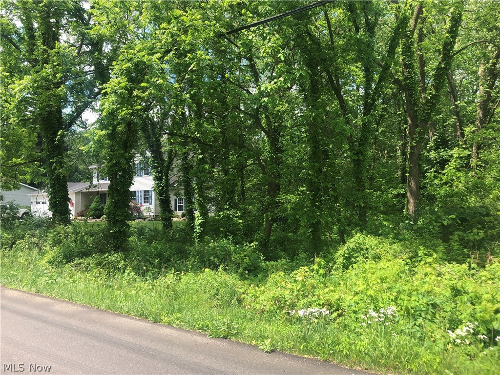 West Arado Allotment - Land