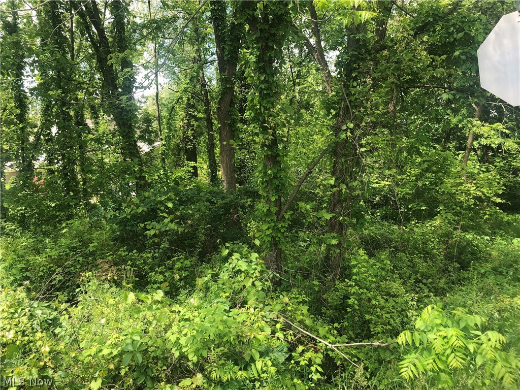 West Arado Allotment - Land