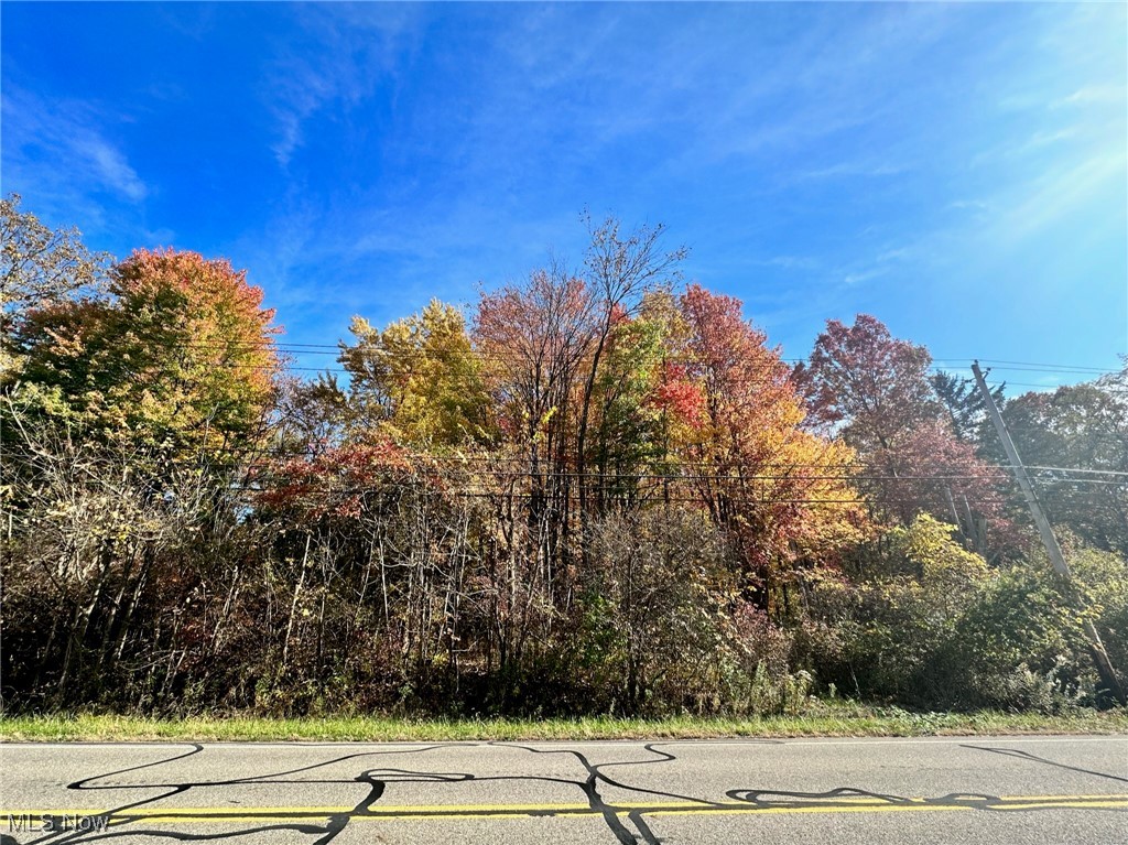 Boston Heights, Ohio 44264, United States, ,Land,Pending,37571