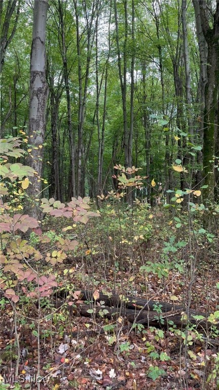 Boston Heights, Ohio 44264, United States, ,Land,Pending,37571