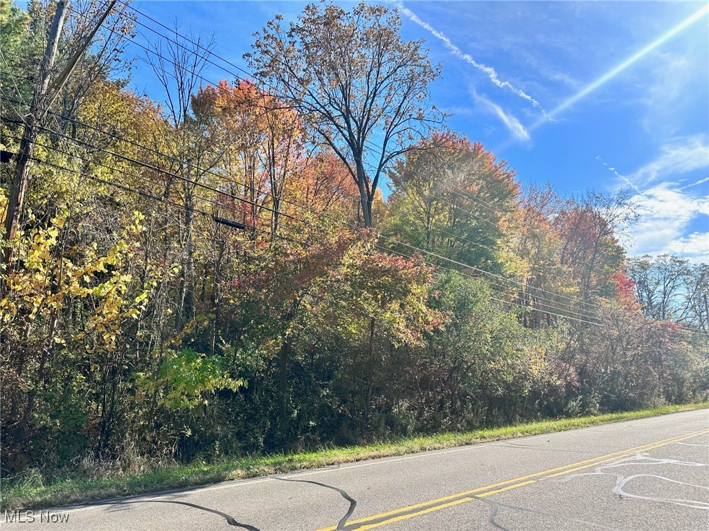 Boston Heights, Ohio 44264, United States, ,Land,Pending,37571