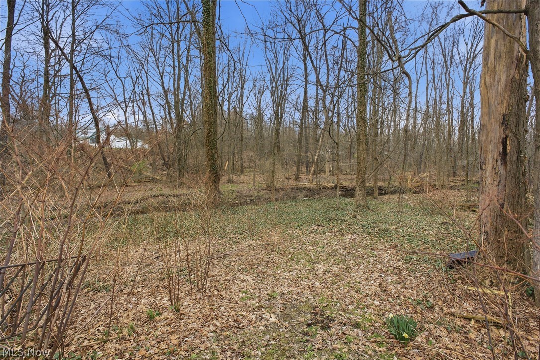 Haynie Lane - Residential