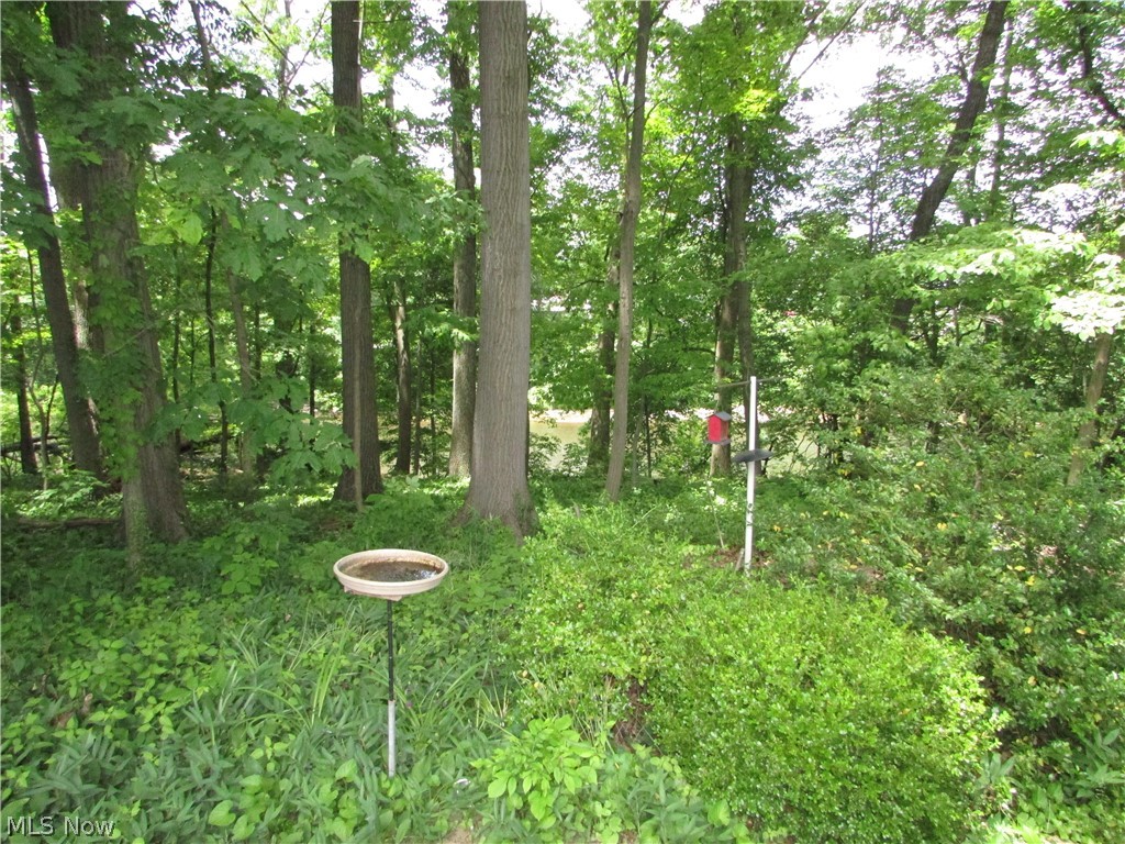 Cuyahoga River Estate - Residential